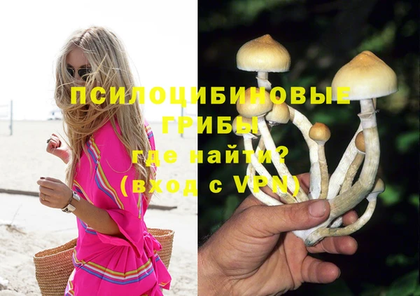 гидра Кинешма