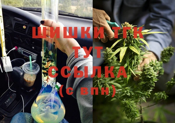 гидра Кинешма